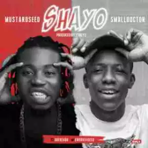 Mustardseed - Shayo ft. Small Doctor